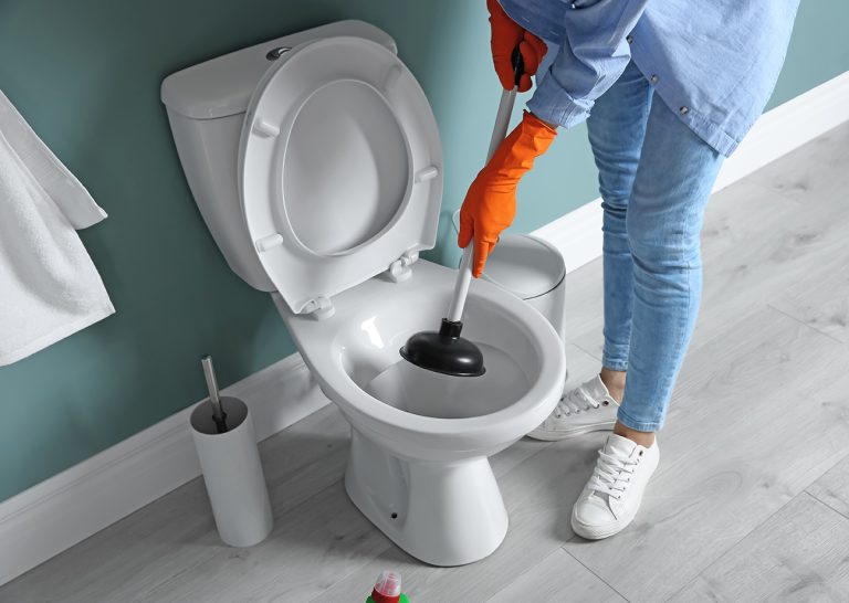 woman,cleaning,toilet,bowl,in,bathroom